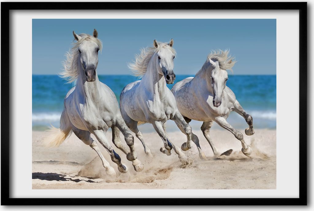Bild 60x40 MDF-Rahmen, Wandkunst White Horse Beach Produktbild 