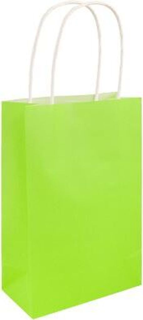 Geschenktüte aus Papier Hellgrün