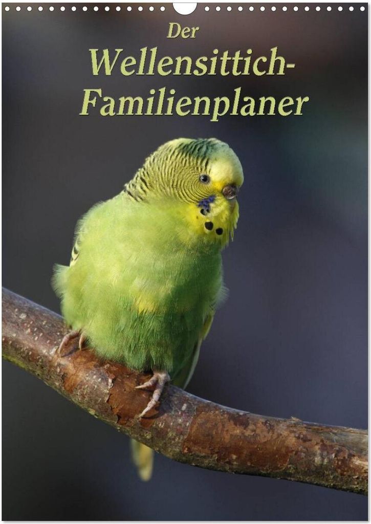 Der Wellensittich-Familienplaner (Wandkalender 2026 DIN A3 hoch), CALVENDO Monatskalender