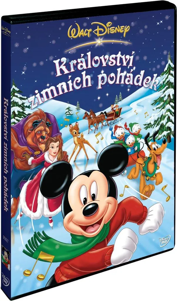 Royaume des contes d'hiver DVD : le cadeau de Noël parfait pour enfants