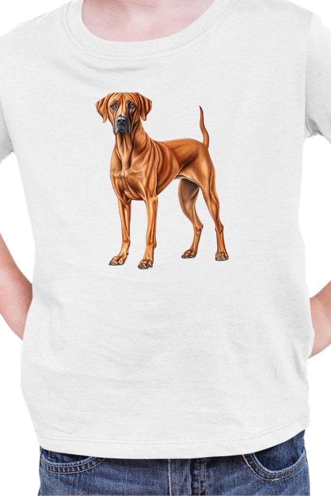 Kinder T-Shirt Dogs Breeds Rhodesian Ridgeback Dog Breed 006, 12-13 Jahr - 152 / Weiß