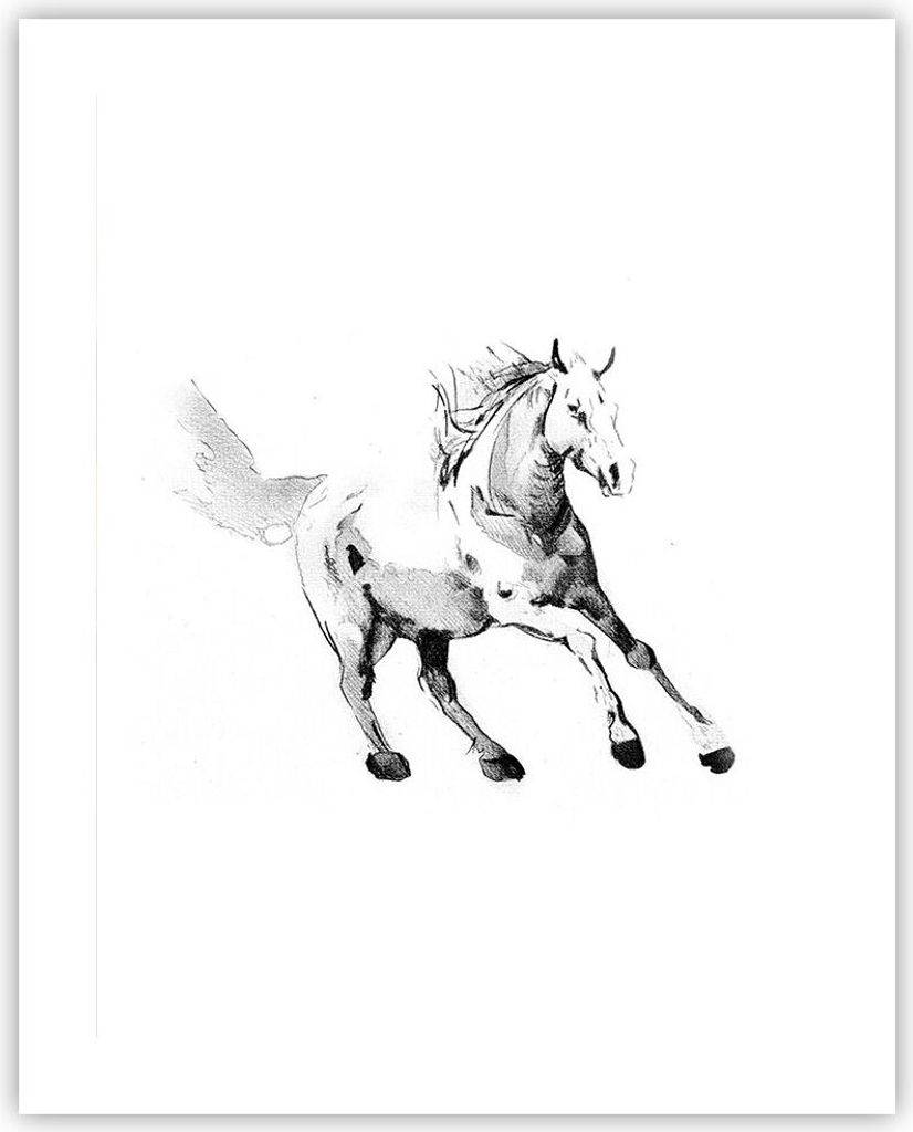 Poster - Poster ohne Rahmen - Pferd Galopp Tier - 40x50 cm - Wand Bild - Wanddeko - Wandbilder - Kunstposter - Wandposter - Bilder - Kunstdruck - W...