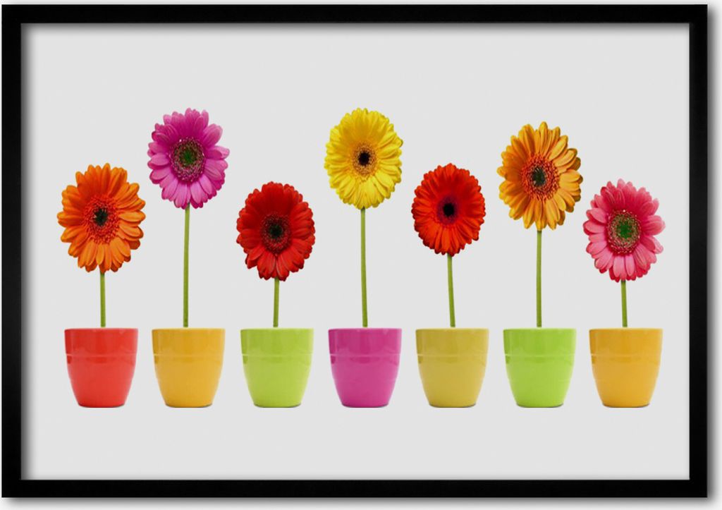 Bild 70x50 MDF-Rahmen Wandkunst Blumen Pflanzen Natur