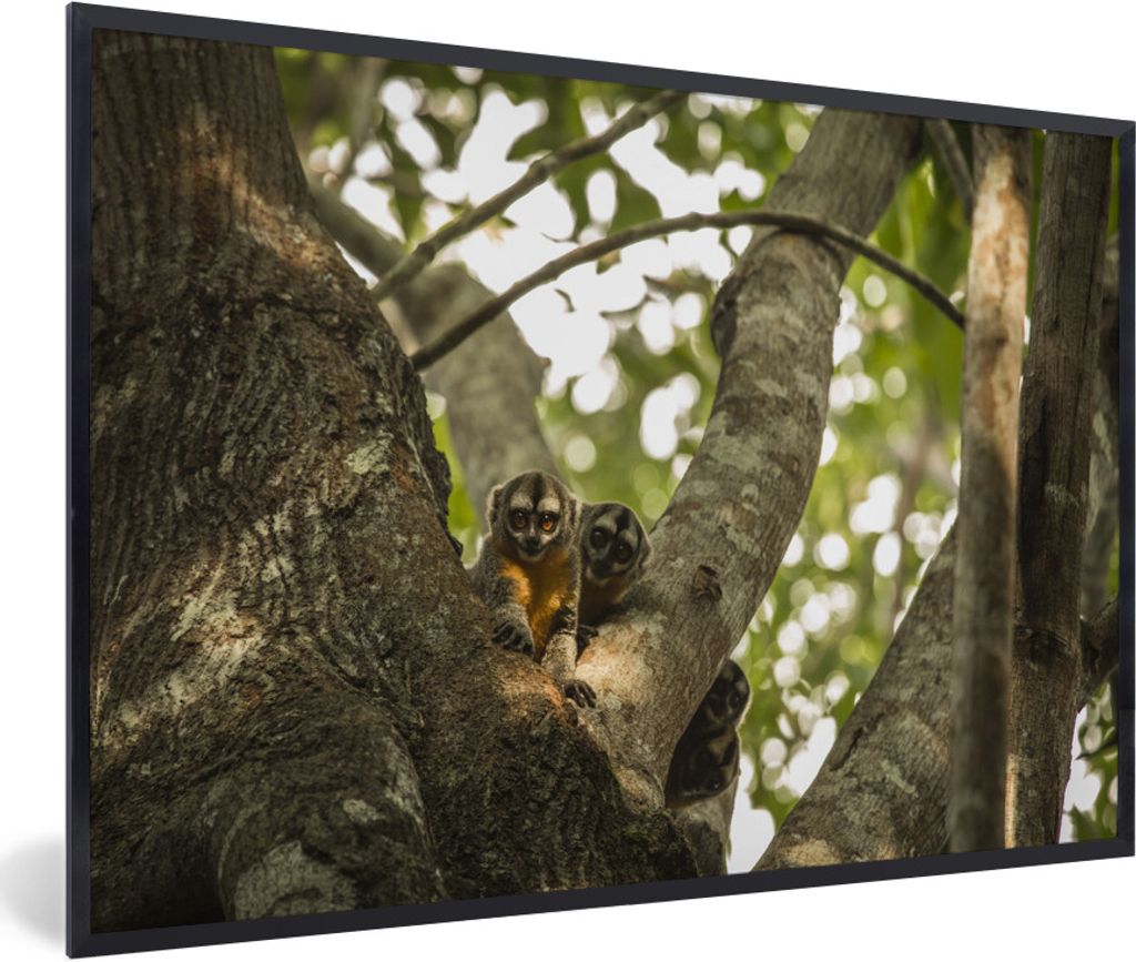 MuchoWow MuchoWow Gerahmtes Poster Kleine Tiere in einem Baum 30x20 cm - Poster mit zchwarzem Bilderrahmen - Kunstdruck - Bild-Poster