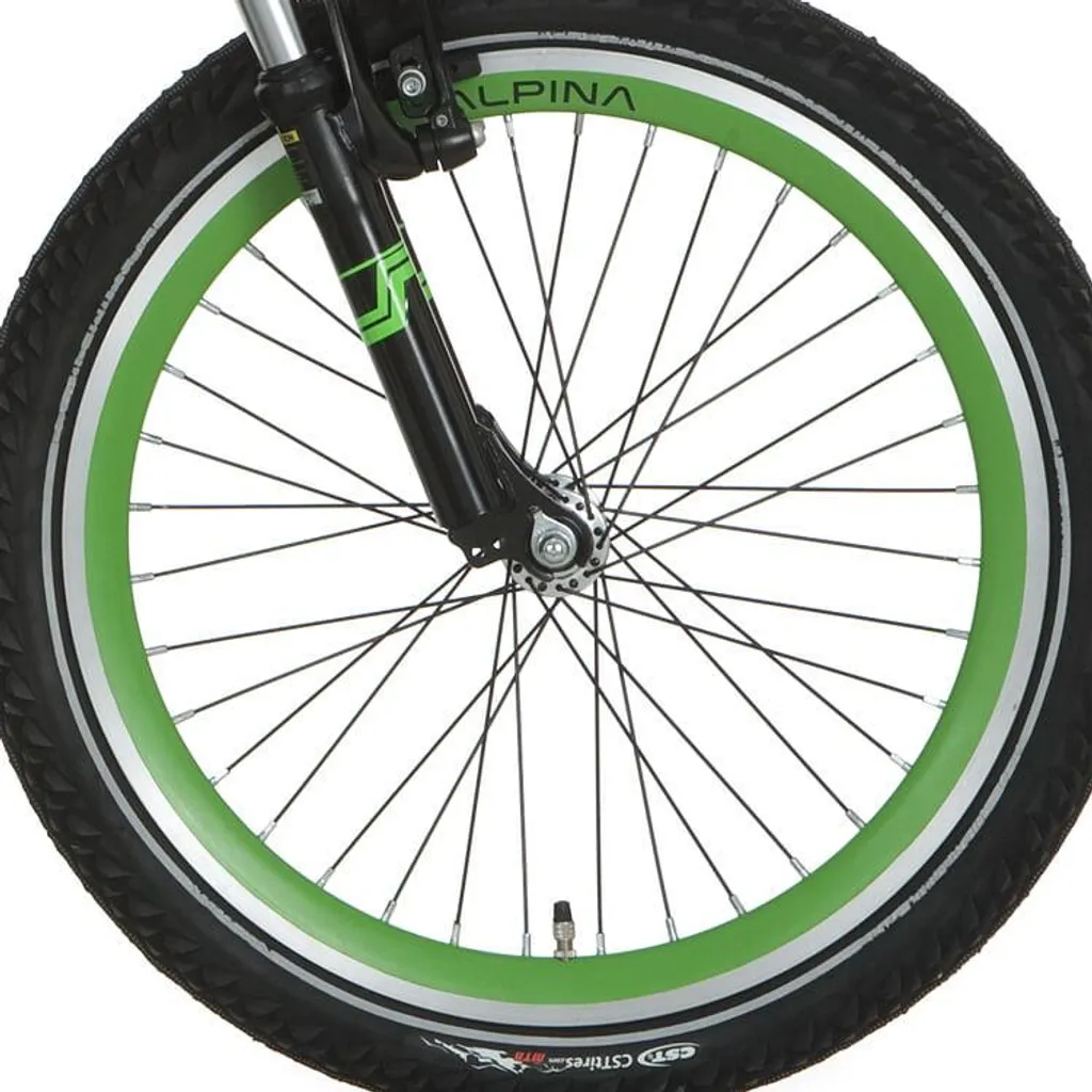 Roue Avant Vélo 20 Pouces Alpina J19DB Noir et Vert Style Sportif