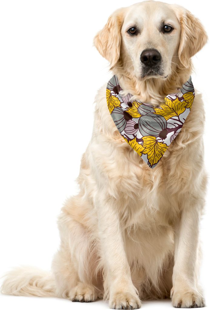 ABAKUHAUS Botanisch Haustier Bandana, Feigen auf belaubten Zweigen, 55x55 cm, Erde Gelb Blush und Weiß