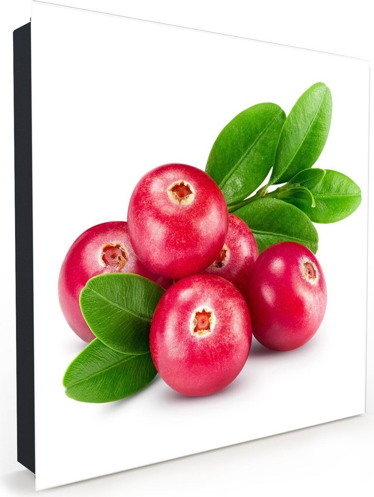 Nachbildung-Schlüsselkasten, Magnetpinnwand und Memoboard mit Glasfront Motiv Preiselbeeren