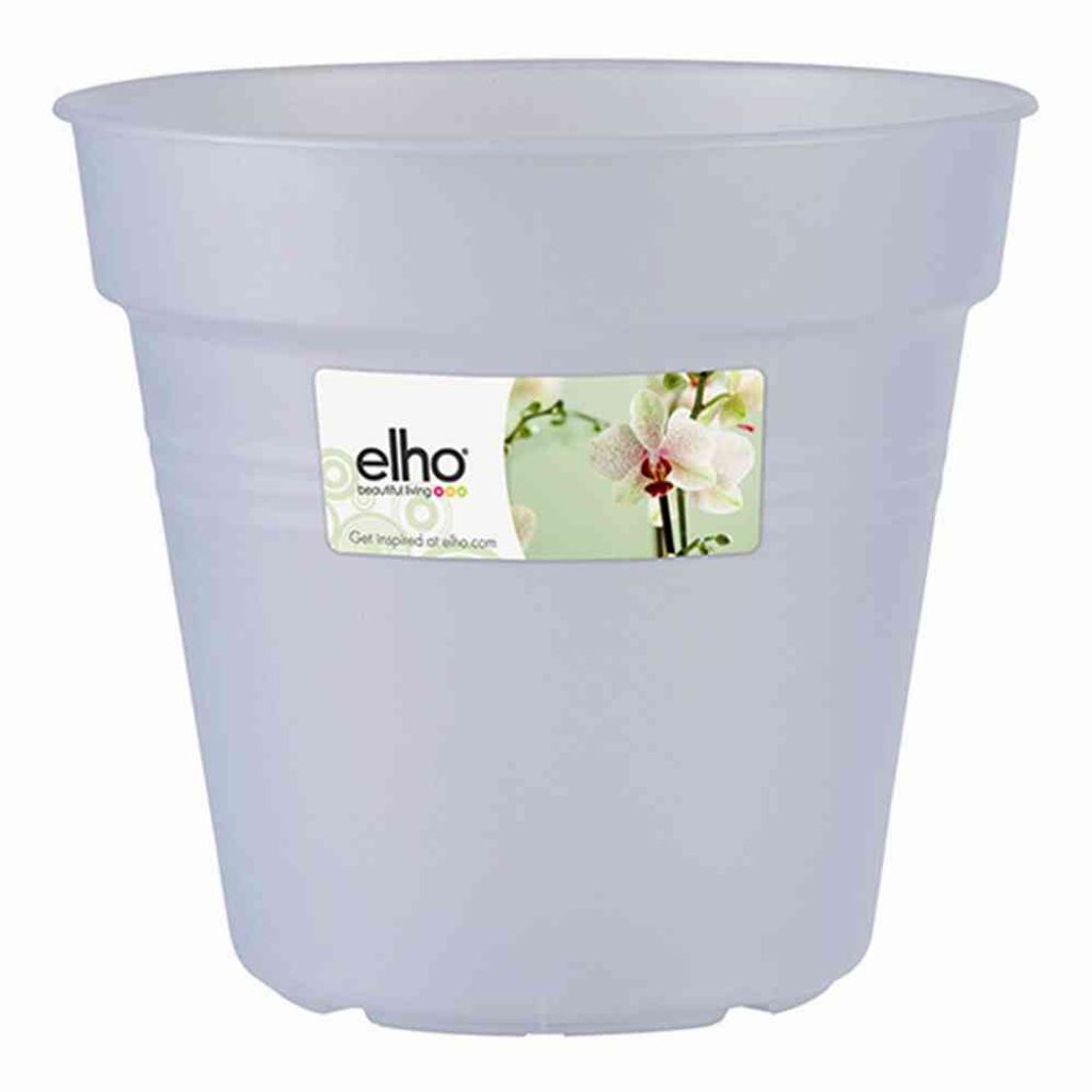 Verde Basic Orchidee trasparente 15 cm Immagine del prodotto 
