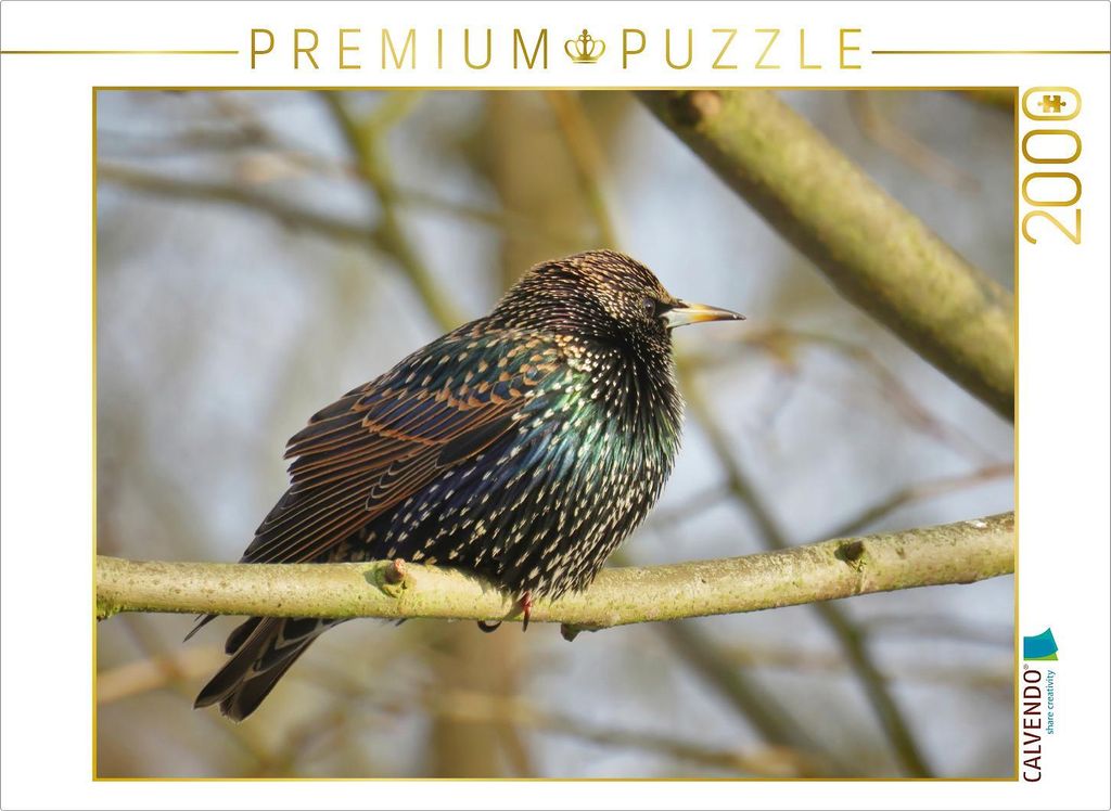 CALVENDO Puzzle Der Star 2000 Teile Puzzle quer | 2000 Teile Lege-Größe 90x67cm Foto-Puzzle für glückliche Stunden