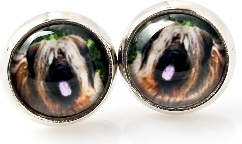 Ricordo Briard: Orecchini con Foto del Tuo Cane | Art-Dog Originale