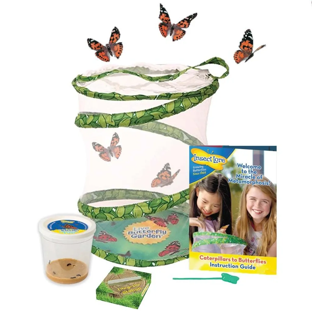 Activité Nature : Élever des Papillons à la Maison avec ce Kit Complet