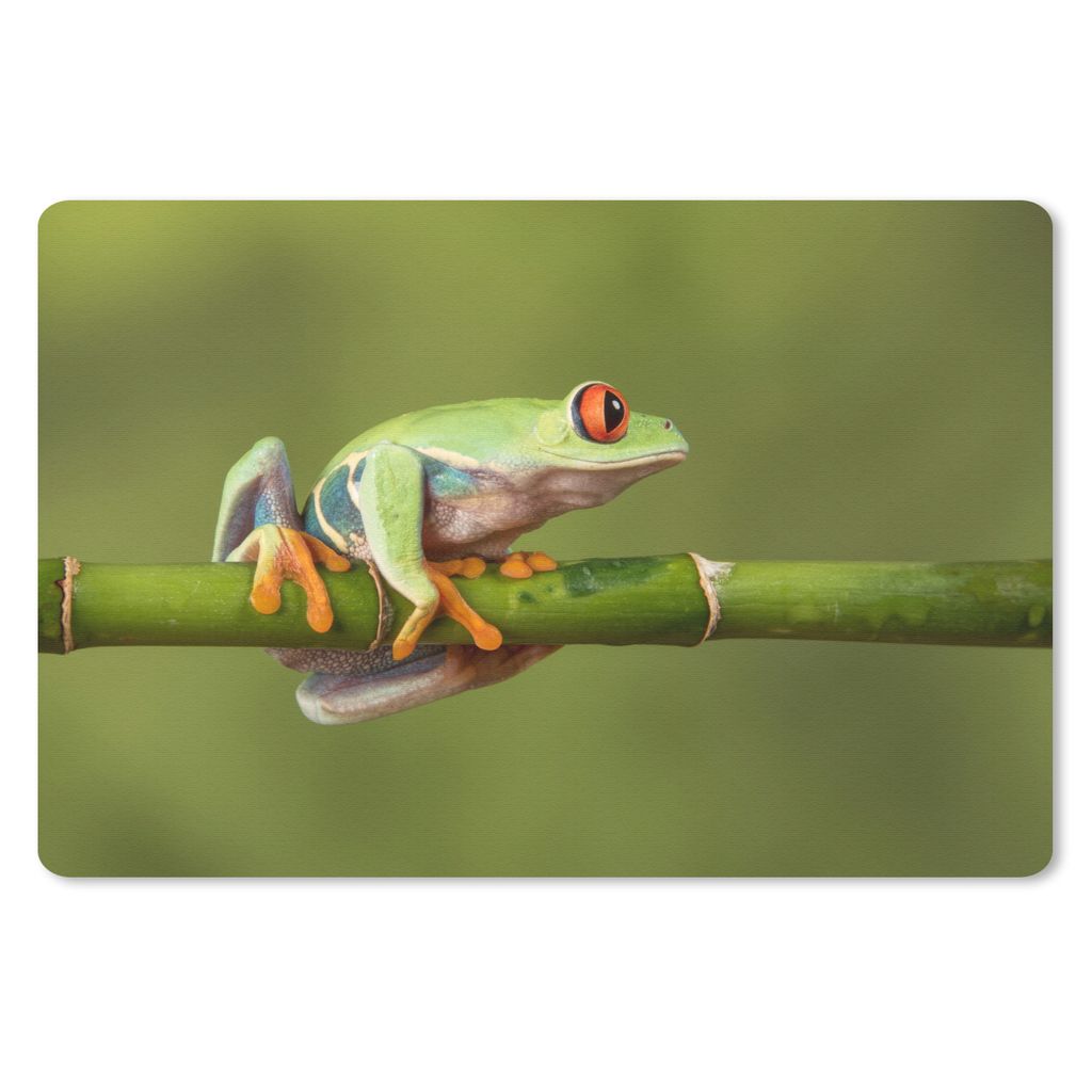 MuchoWow Schreibtischunterlage Rotäugiger Quecksilberfrosch auf Bambus 60x40 cm - XXL Mauspad - Großes Mauspad