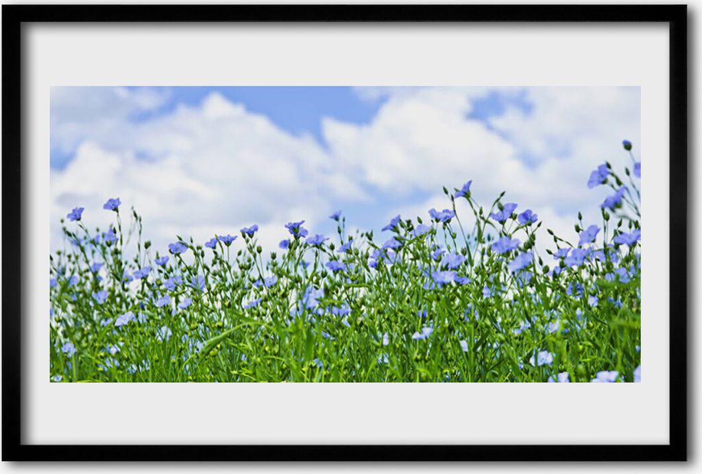 Bild 60x40 MDF-Rahmen Wandkunst Blumen Pflanzen Natur