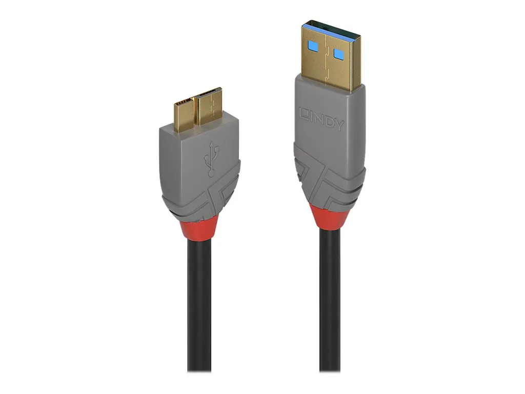 Soluzione Connettività Lindy 3m USB 3.2 Anthra Line per Business