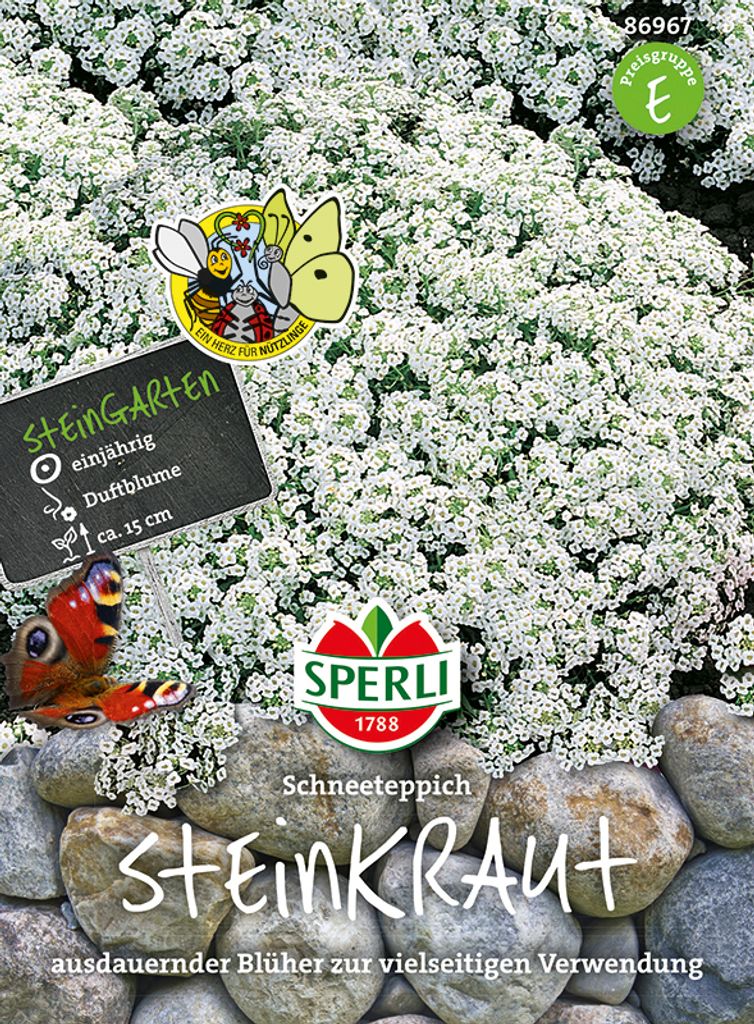 Sperli Steinkraut Duftsteinrich Schneeteppich - Blumensamen