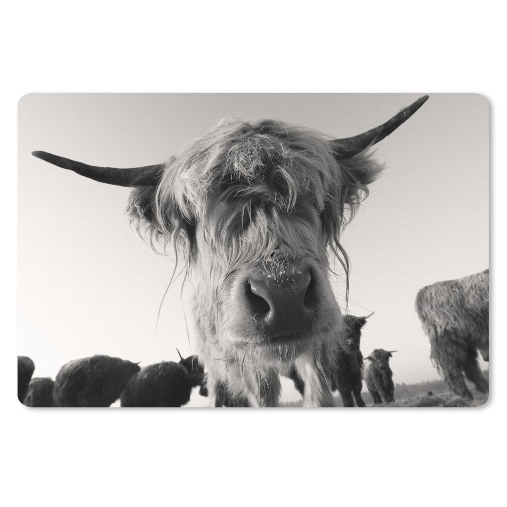 MuchoWow Schreibtischunterlage Schottischer Highlander - Schwarz - Weiß - Tiere 60x40 cm - XXL Mauspad - Großes Mauspad