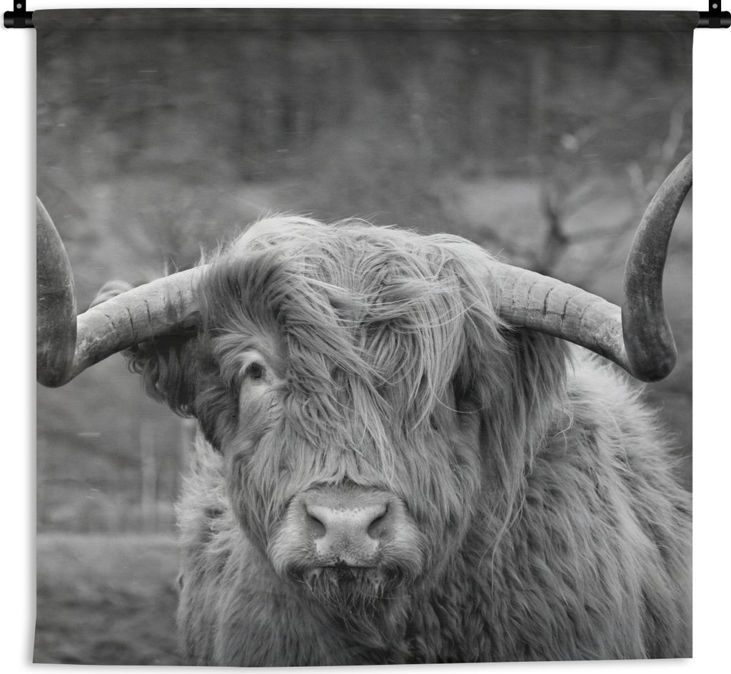 MuchoWow Wandteppich Wandbehang Schottischer Highlander - Kuhkopf - Landschaft - Natur - Kuh 90x90 cm Tapisserie Dekoration Wandtuch - Wandaufhä...