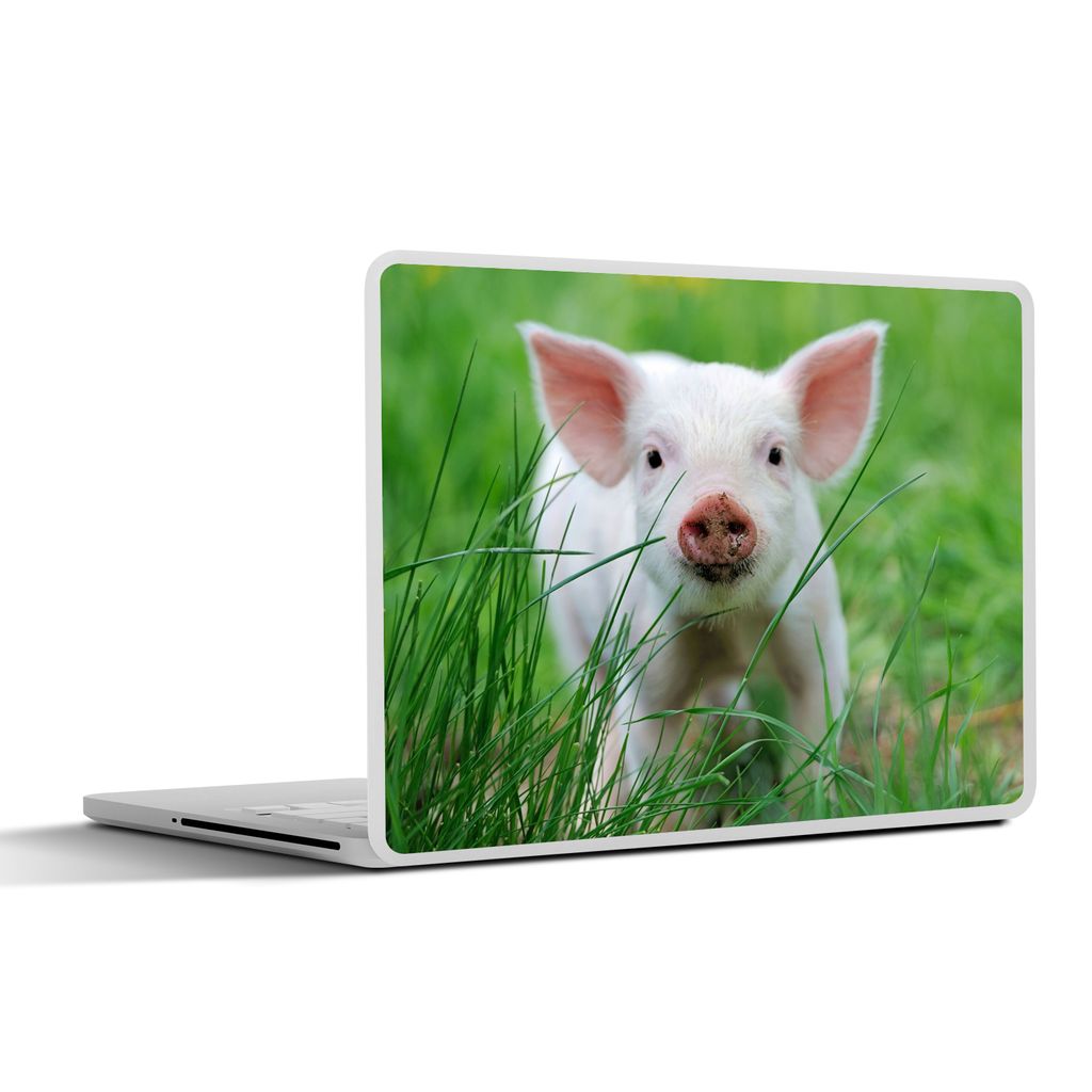 MuchoWow Laptop Aufkleber Sticker Cover Schwein - Tiere - Groß 32.5x23.5 cm - Sticker für Laptop - Selbstklebend