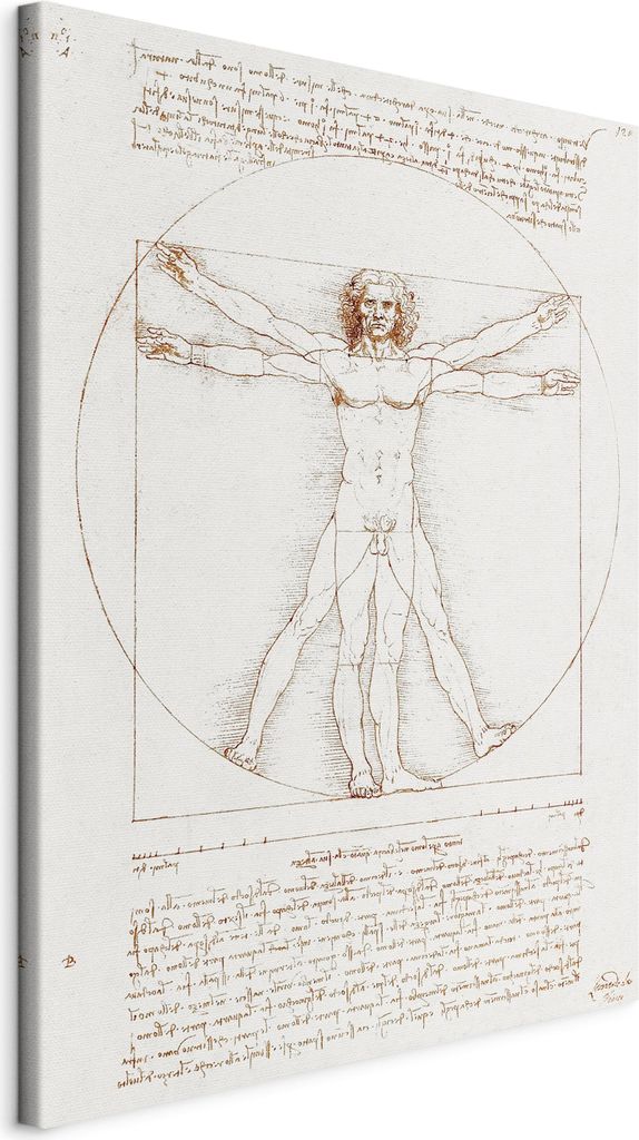 Vlies Leinwandbild - Vitruvian Man (Proportions of the human body according to Vitruvius) 50x70 cm Reproduktionen l-G-10138-b-a