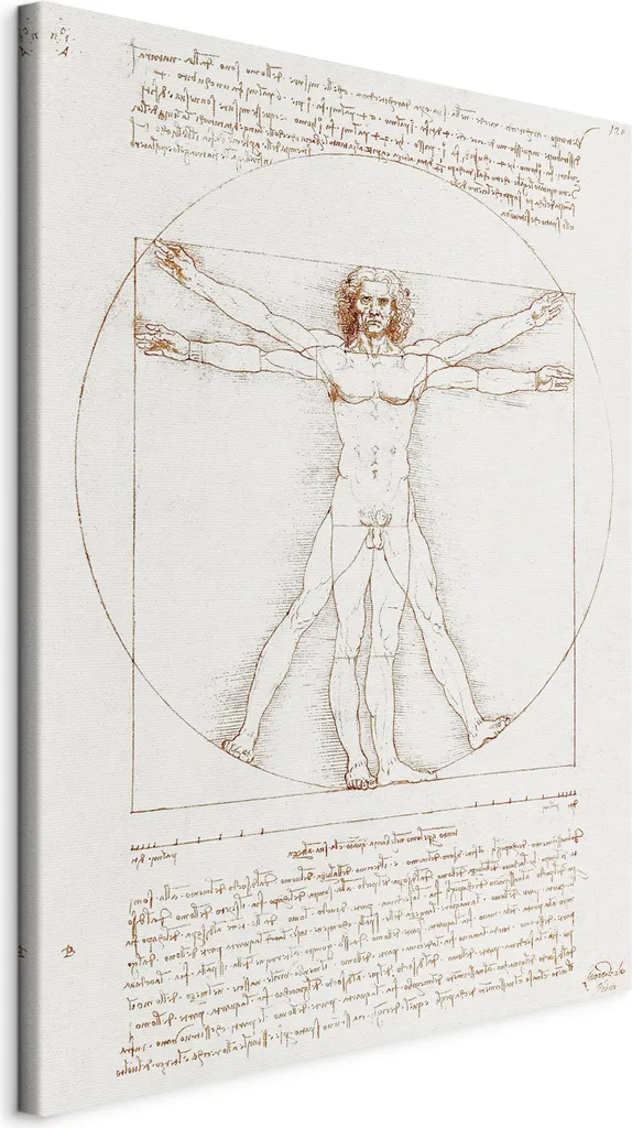 Quadro Uomo Vitruviano Leonardo da Vinci 50x70 cm - Stampa Canvas Arredo