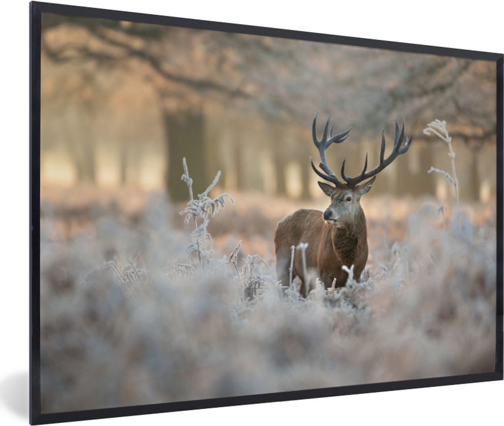 MuchoWow MuchoWow Gerahmtes Poster Hirsche - Tiere - Winter 90x60 cm - Poster mit zchwarzem Bilderrahmen - Fotorahmen - Foto-Plakat