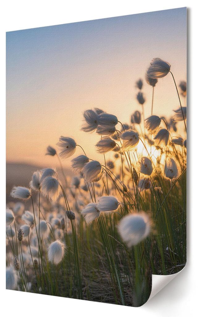 Romantische Landschaft- Kunstdruck A1 (59x84 cm) - Klassisch, romantisch- Wandbild für Wohnzimmer Schlafzimmer & Flur, Modernes Poster Wanddeko, U...