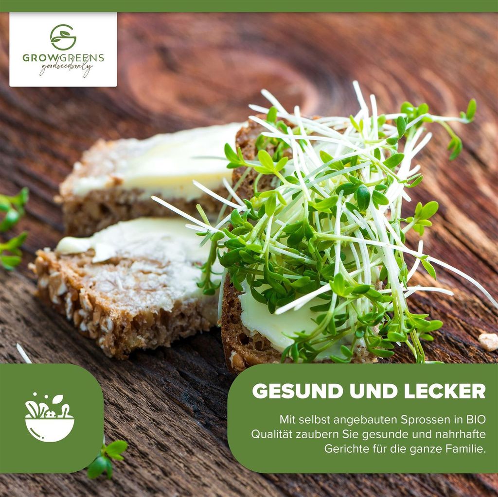 Kresse Sprossen Samen 50g - Microgreens Saatgut ideal fr
