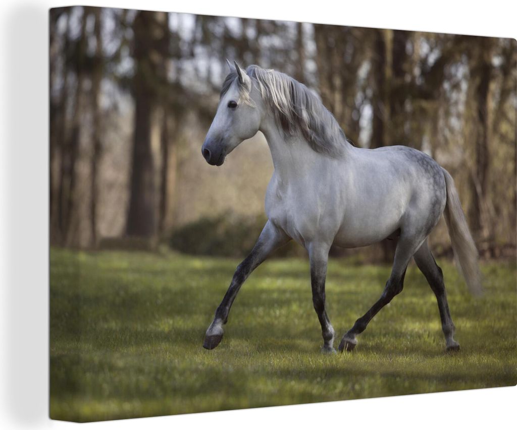 OneMillionCanvasses - Leinwandbilder - 140x90 cm, Pferd - Pilz - Gras, Wandbilder Kunstdruck Wanddekoration