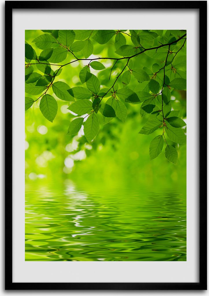 Bild - Bilderrahmen - Foto - 70 cm x 100 cm - MDF - Rahmen - Wandkunst - Grüne Blätter
