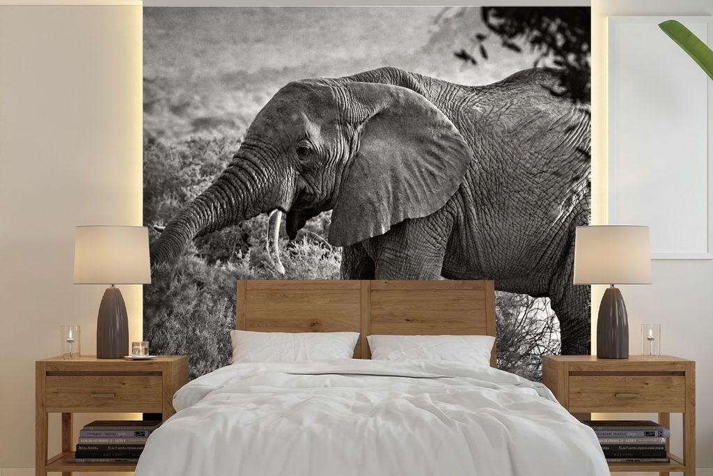 MuchoWow Fototapete für Wohnzimmer oder Schlafzimmer Wandtapete Vinyl Motivtapete Profil eines Elefanten in schwarz-weiß - 350x350 cm - Schlafz...