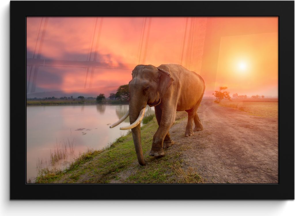 MuchoWow® MuchoWow® Gerahmtes Poster Elefant - Wasser - Produktbild 
