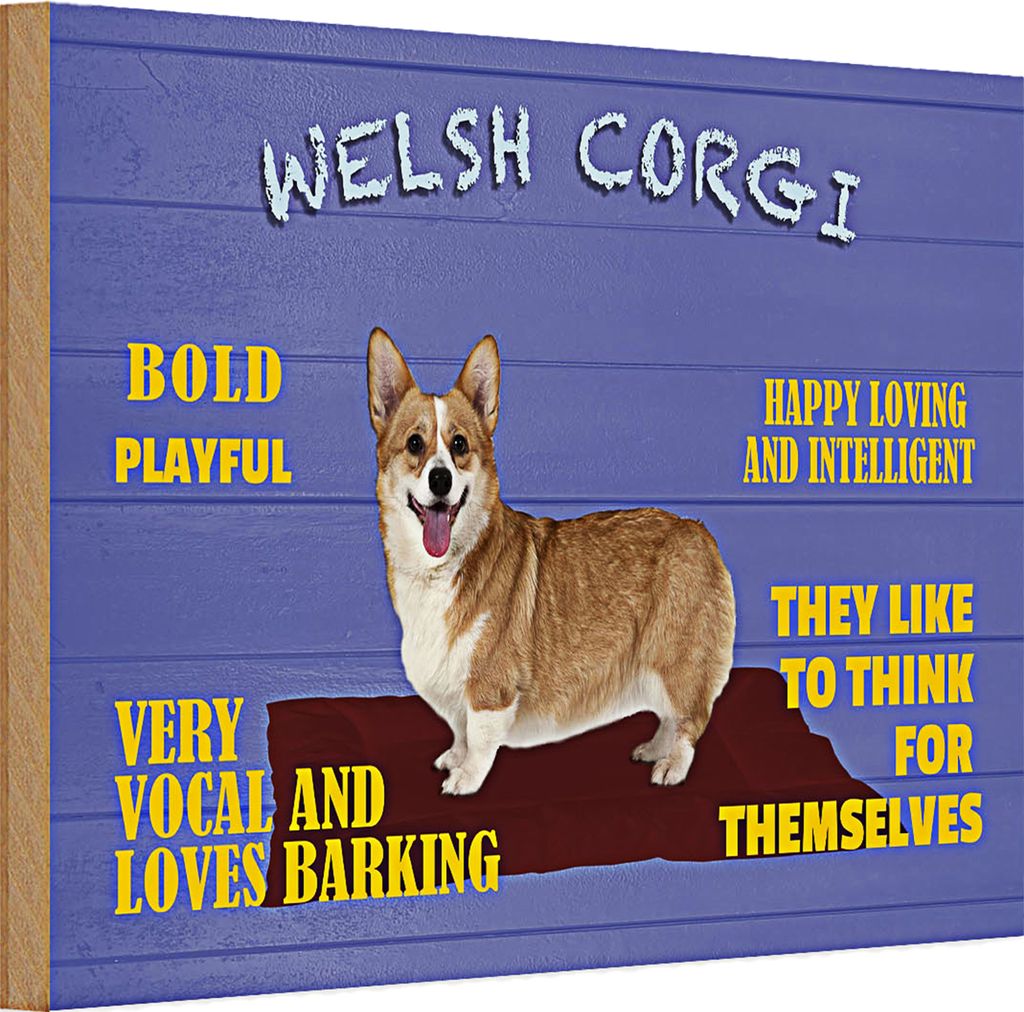 Holzschild Spruch 30x20cm Welsh Corgi Hund bold playful