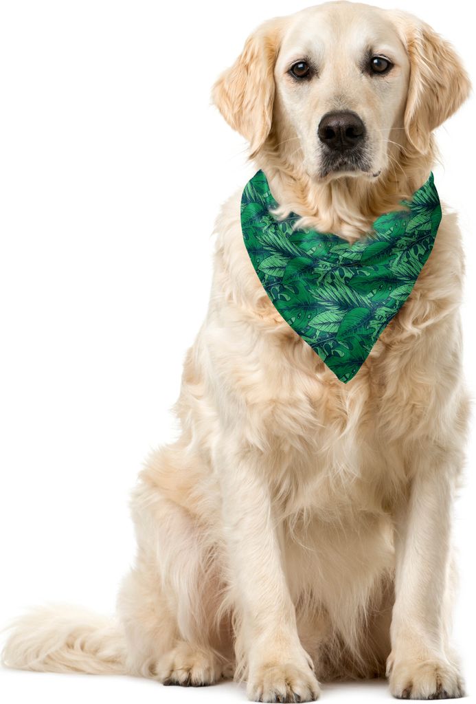 ABAKUHAUS hawaiisch Haustier Bandana, Tropischer Regenwald Blätter, 55x55 cm, Forest Green Sea Green