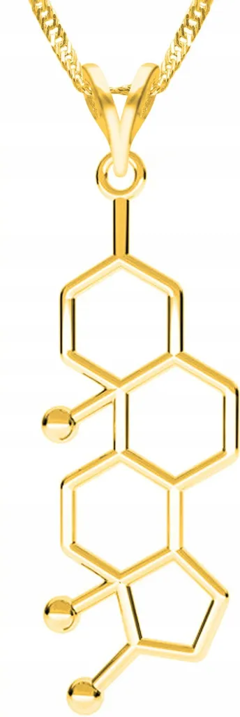 Collana Testosterone Argento 925 Oro - Gioiello Molecola Uomo Street