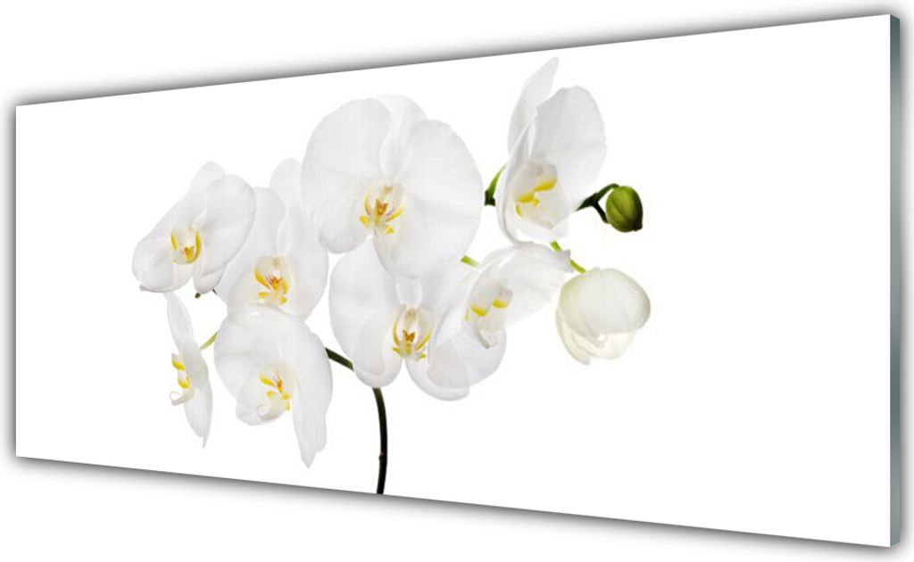 Küchenrückwand aus Glas 125x50cm Spritzschutz Blumen Pflanzen