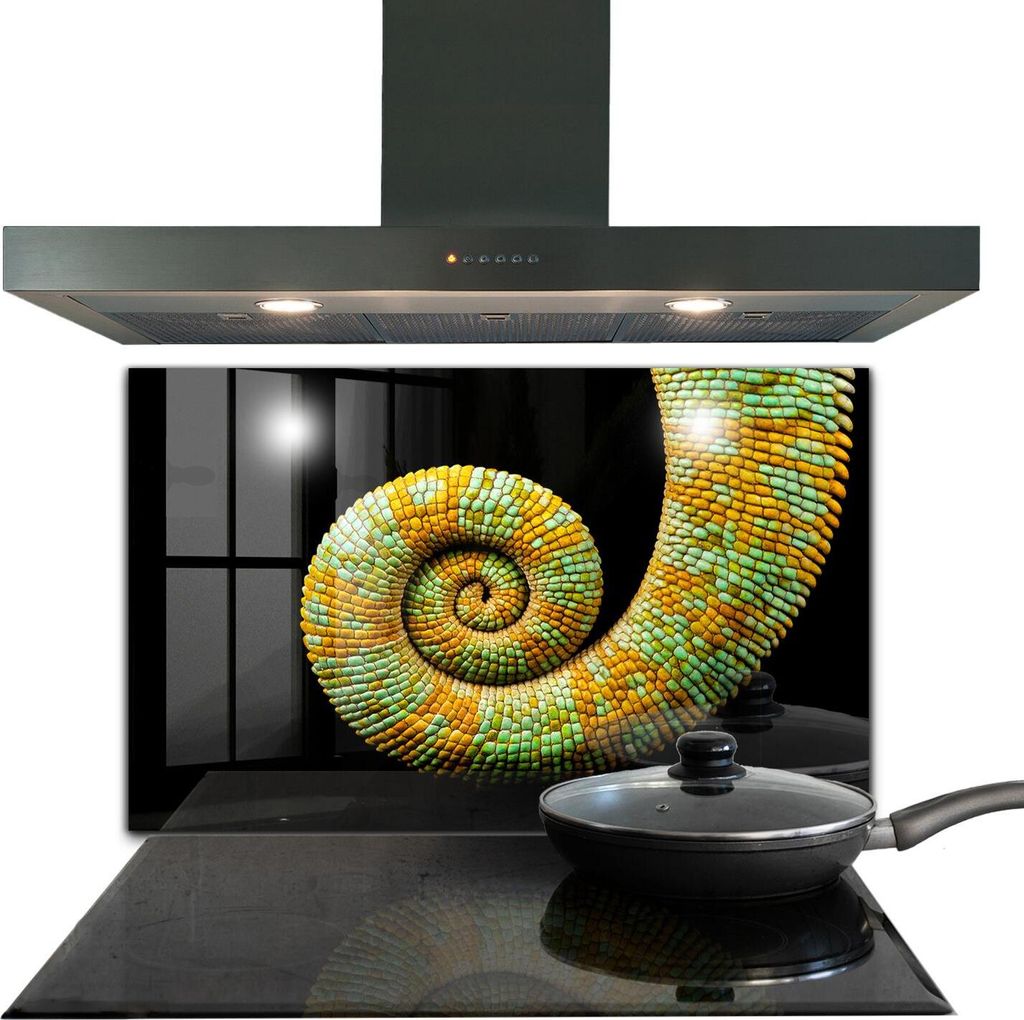 Spritzschutz aus Glas Küchenrückwand - Wandschutz für Herd und Spüle - 100x70 cm - Natur Chamäleonschwanz