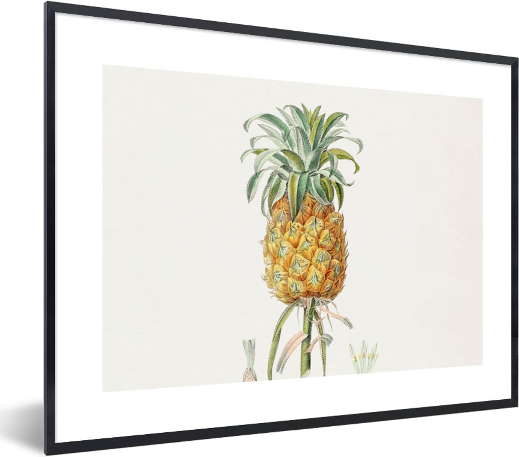 MuchoWow Gerahmtes Poster Ananas - Obst - Vintage 80x60 cm - Poster mit Schwarzem Bilderrahmen Wandposter Rahmen Foto Bilder - Schwarzem - Mit Ge...