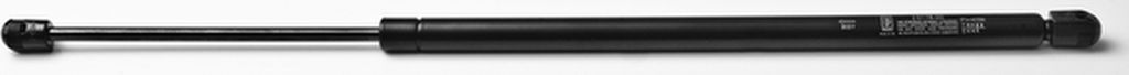 Z455484 Gasfedern SET kompatibel mit FORD Fiesta V
