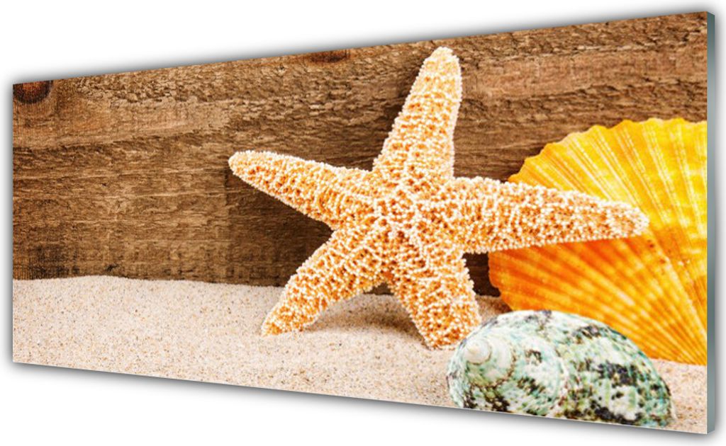 Küchenrückwand aus Glas 125x50cm Spritzschutz Sand Seestern Muscheln Kunst