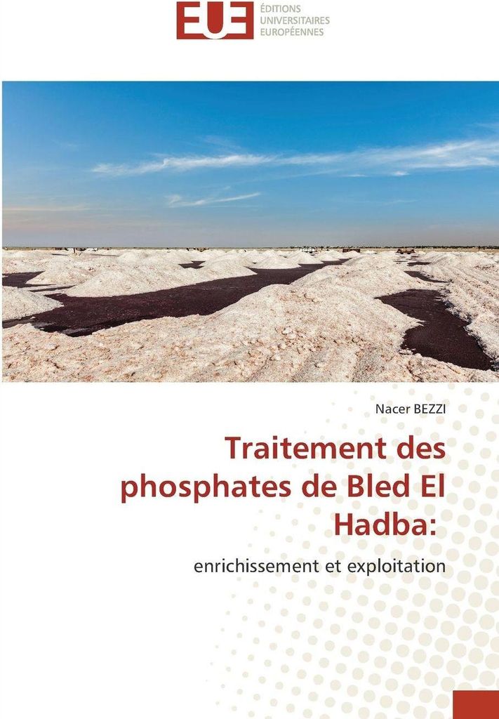 Traitement des phosphates de Bled El Hadba:
