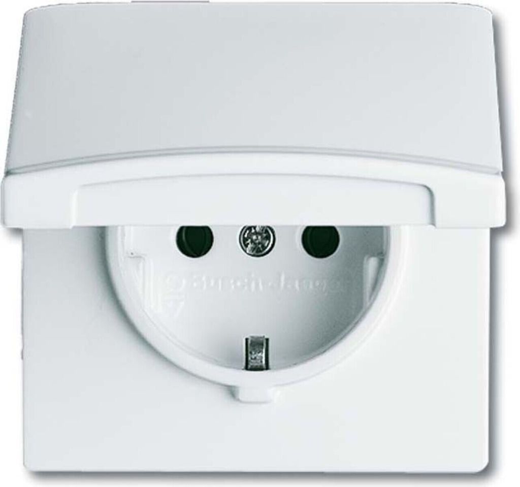 BUSCH-JAEGER presa di corrente 1f aws glz per tutte le Immagine del prodotto 