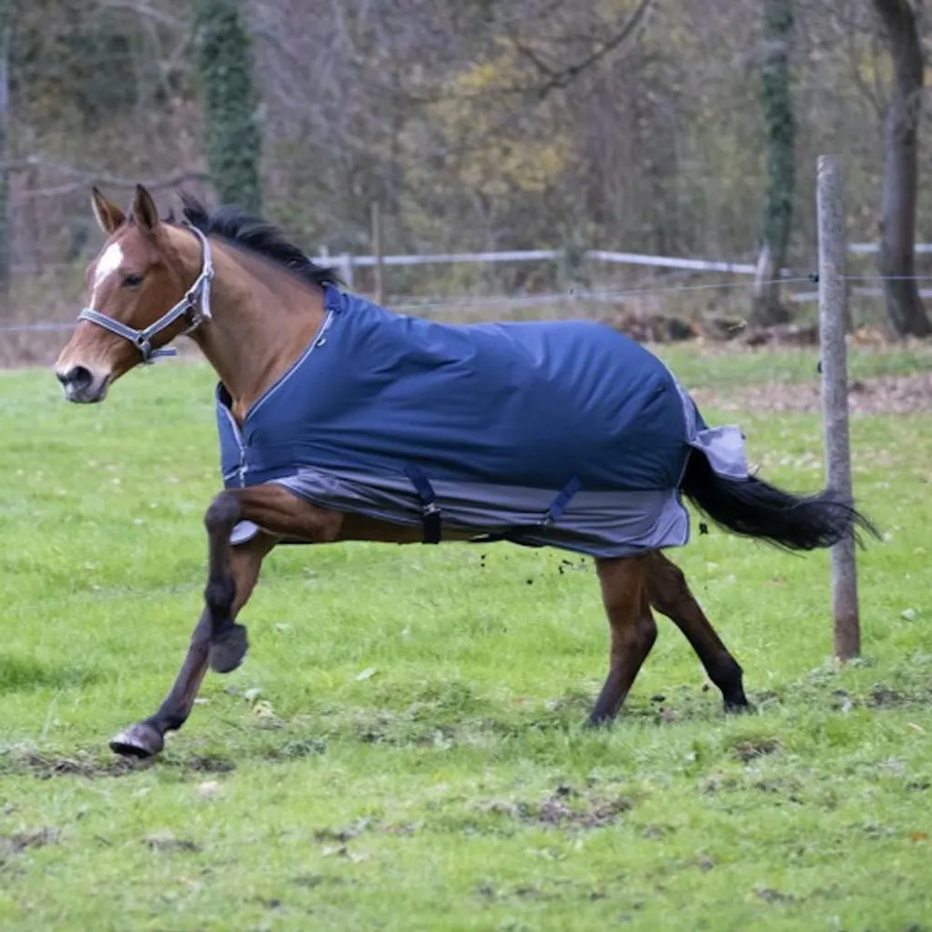 Coperta Cavallo Equithème Tyrex 600D 150g Blu/Grigio 140 | Paddock Ready