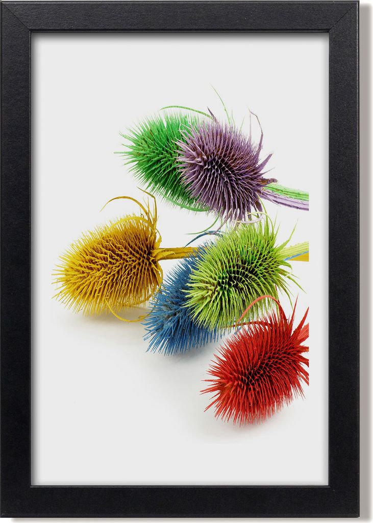 Bild 20x30 MDF-Rahmen, Wandkunst Distel
