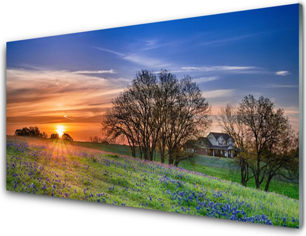 Acrylglasbilder 100x50 Wandbild Druck Wiese Sonne Landschaft