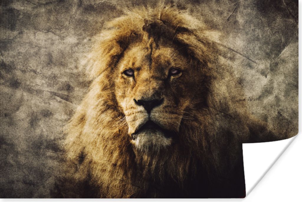 MuchoWow Poster Löwe - Abstrakt - Farben 90x60 cm - Schlafzimmer