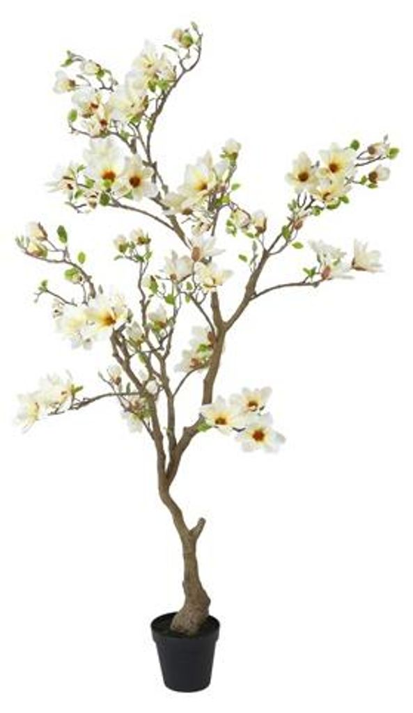 Countryfield Kunstpflanze Magnolie – Weiß – Ø 50 cm – Höhe 210 cm