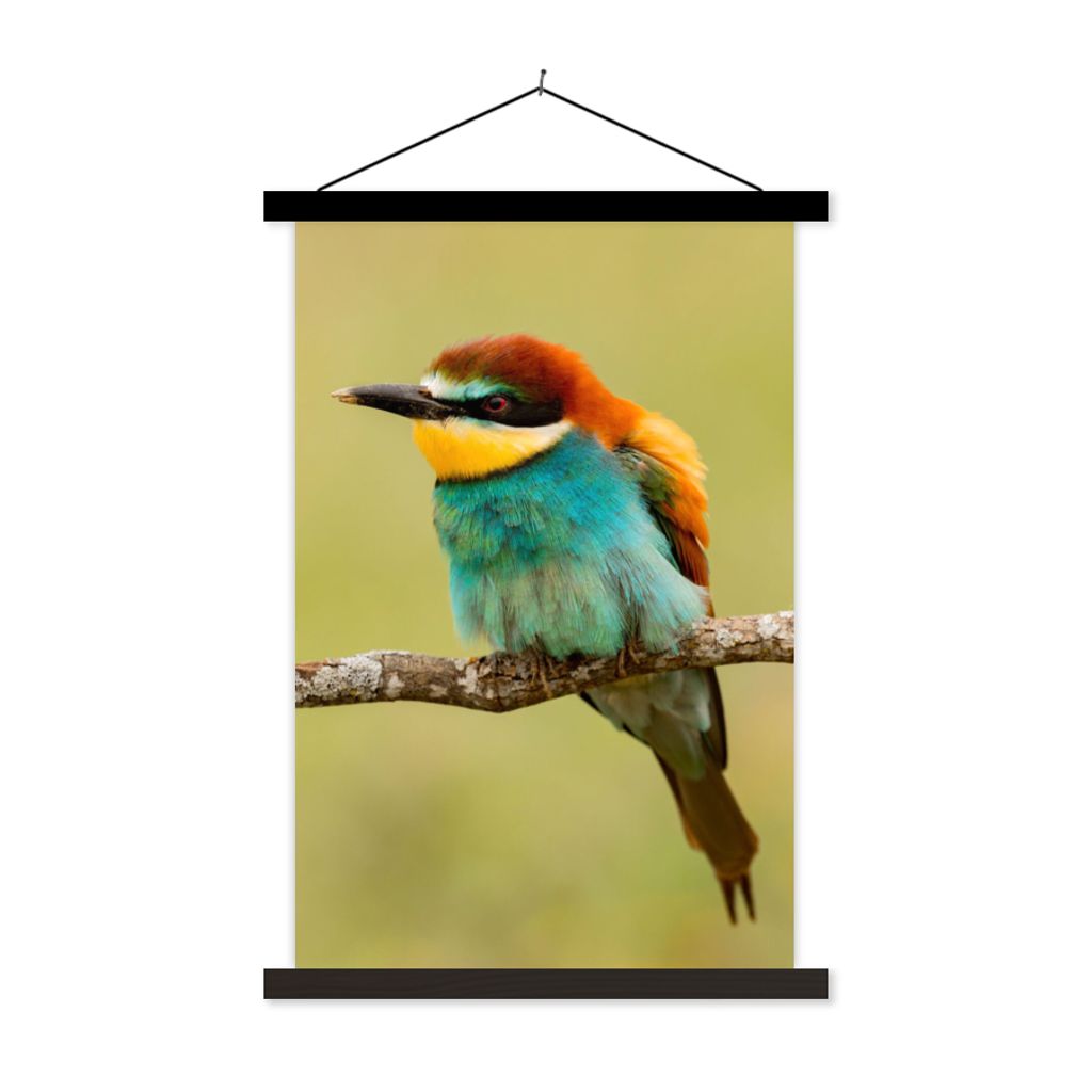 MuchoWow Textilposter Vogel - Bienenfresser - Tiere 120x180 cm mit schwarzem Rahmen - Fotos