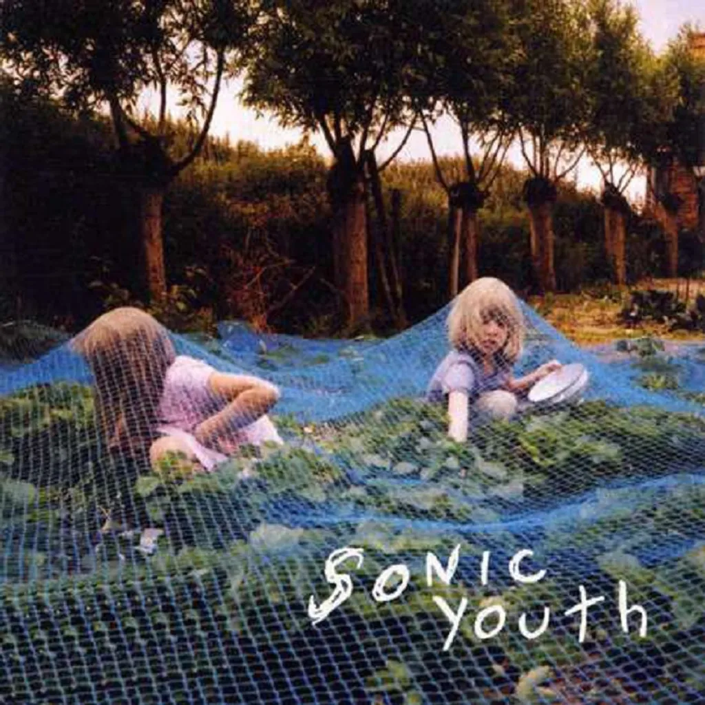 Disque vinyle Sonic Youth Murray Street LP album rock 33 tours 12''