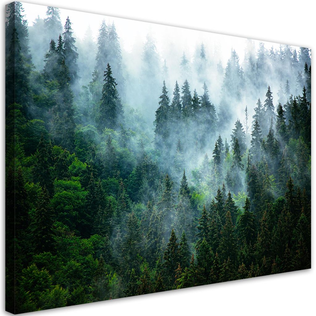 Leinwandbild Wald im Nebel Landschaft 90x60 Feeby Grün bild für die wand bereit zum aufhängen