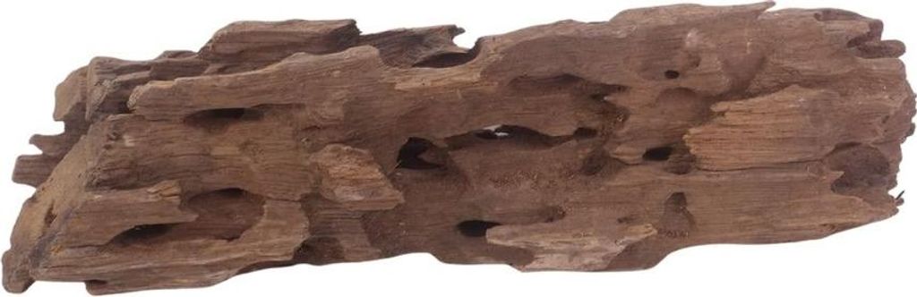 L Honey Comb Wurzel Nr.3035 Holz Deko Aquascaping